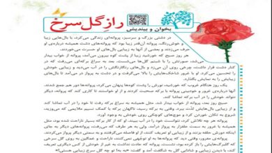خلاصه و نتیجه داستان راز گل سرخ فارسی کلاس پنجم صفحه 21 + معنی درس