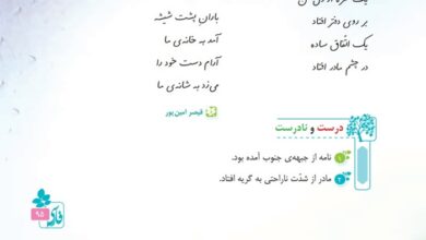 درک مطلب درس اتفاق ساده کلاس چهارم + جواب درست و نادرست و دانش زبانی