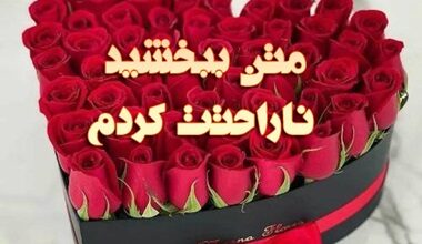 متن ببخشید ناراحتت کردم متن عذرخواهی ؛ جملات و متن های کوتاه عذر خواهی