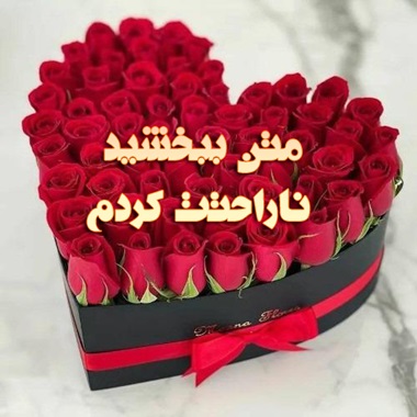 متن ببخشید ناراحتت کردم متن عذرخواهی ؛ جملات و متن های کوتاه عذر خواهی