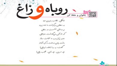 معنی شعر روباه و زاغ فارسی کلاس چهارم ابتدایی + معنی کلمات