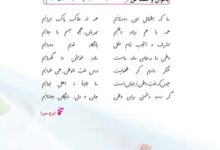 معنی همه از خاک پاک ایرانیم کلاس ششم فارسی صفحه ۵۶ ✅ هم خانواده و مخالف