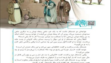 معنی و مفهوم مثل هیچ ارزانی بی علت نیست کلاس چهارم