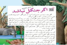 معنی کلمات درس شانزدهم اگر جنگل نباشد کلاس سوم