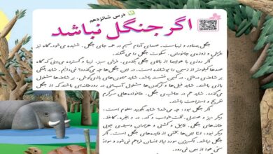 معنی کلمات درس شانزدهم اگر جنگل نباشد کلاس سوم