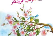 معنی کلمات درس معرفت افریدگار فارسی ششم ✅ هم خانواده و مخالف