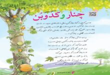 معنی کلمات درس پنجم فارسی پنجم ❤️چنار و کدوبن