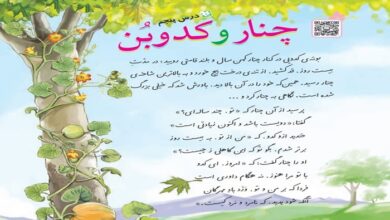 معنی کلمات درس پنجم فارسی پنجم ❤️چنار و کدوبن