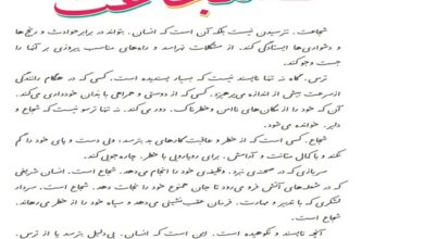 معنی کلمات درس چهاردهم شجاعت فارسی کلاس پنجم