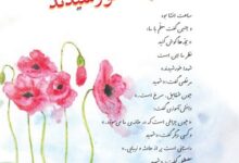 معنی کلمات درس یازدهم شهدا خورشیدند فارسی ششم