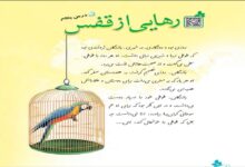 معنی کلمات رهایی از قفس کلاس چهارم + هم خانواده و مخالف و متن درس
