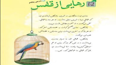 معنی کلمات رهایی از قفس کلاس چهارم + هم خانواده و مخالف و متن درس
