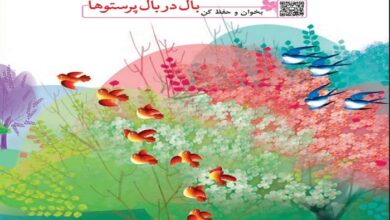 معنی کلمات شعر بال در بال پرستوها فارسی پنجم