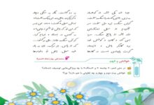 معنی کلمات شعر چشمه و سنگ فارسی پنجم