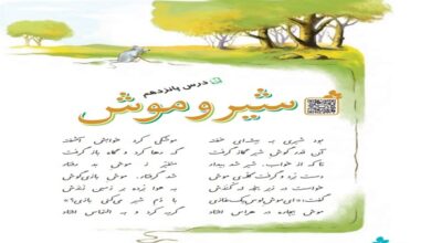 معنی کلمات و شعر شیر و موش درس ۱۵ پانزدهم 🦁🐭 فارسی چهارم