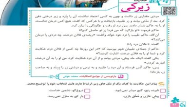 معنی کلمات و ضرب المثل های حکایت زیرکی