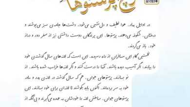 معنی کلمات کوچ پرستوها درس دوم کلاس چهارم