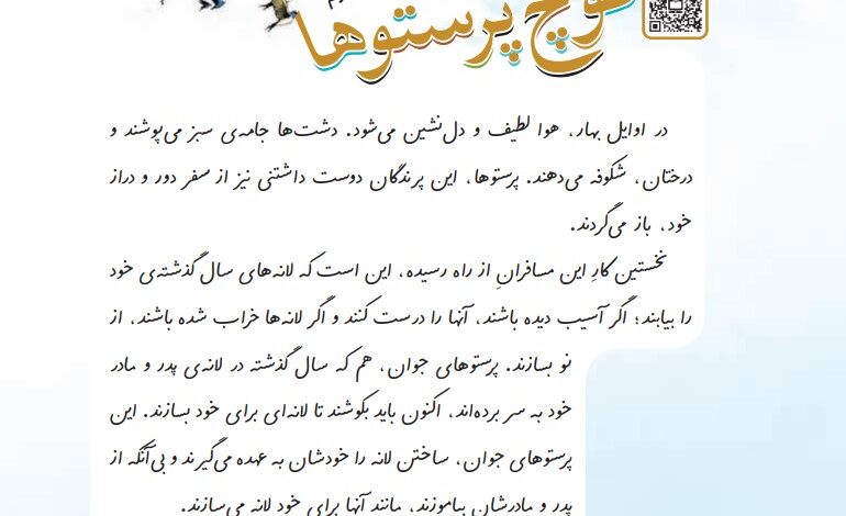 معنی کلمات کوچ پرستوها درس دوم کلاس چهارم