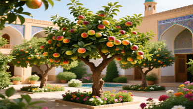 تعبیر خواب درخت