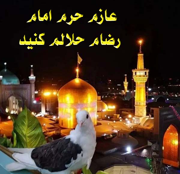 عازم حرم امام رضام حلالم کنید
