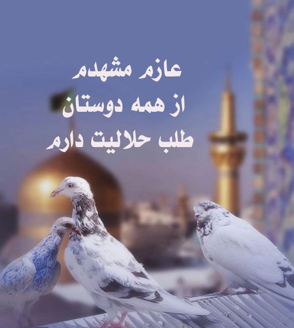 عازم مشهدم، از همه دوستان طلب حلاليت دارم.