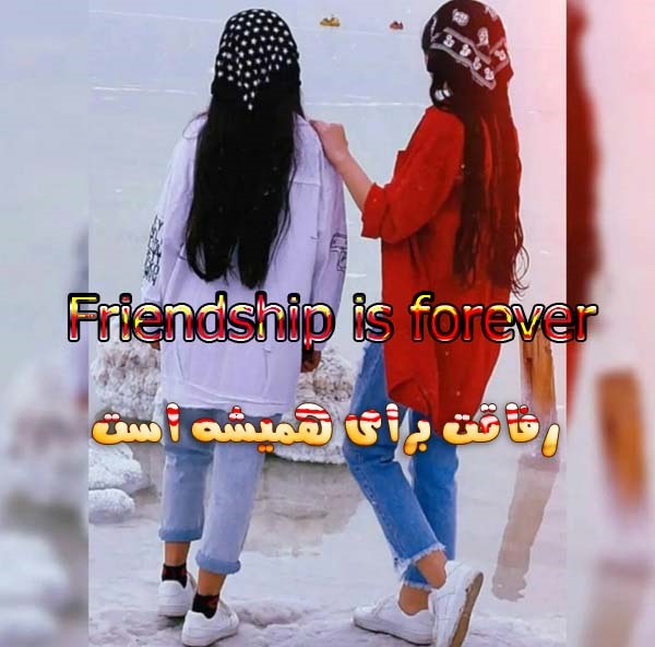 متن انگلیسی درمورد دوست