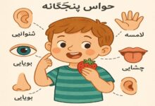 تحقیق در مورد حواس پنجگانه دوم دبستان