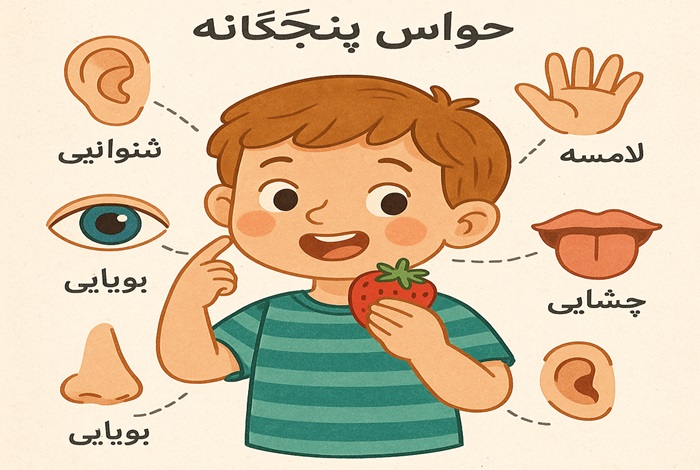 تحقیق در مورد حواس پنجگانه دوم دبستان