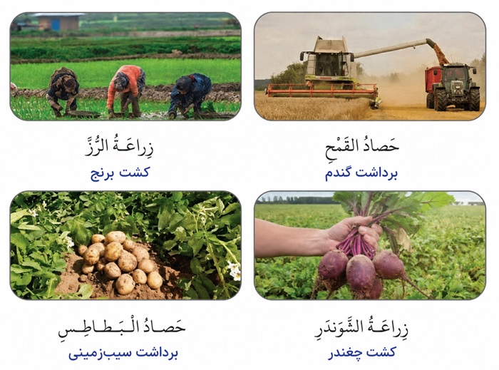 ترجمه تصویر صفحه ۲ درس اول عربی دوازدهم فنی