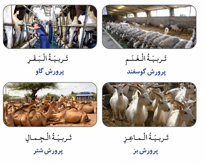 ترجمه تصویر صفحه ۳ درس اول عربی دوازدهم فنی