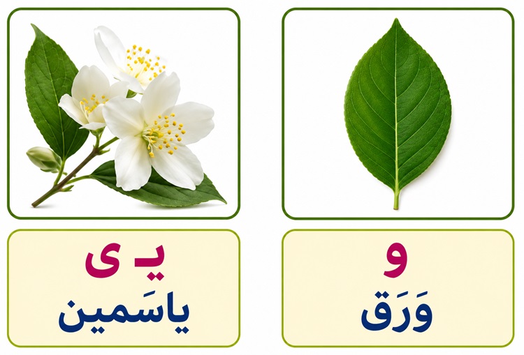 تصاویر صفحه ۱۳ و ۱۴ عربی هفتم
