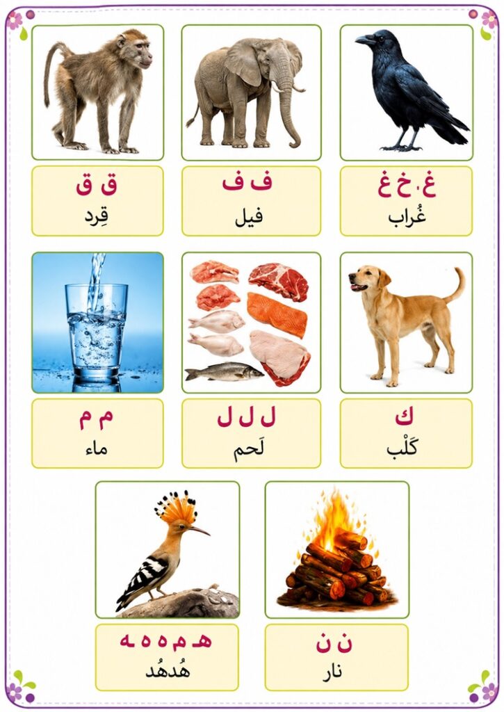 تصاویر صفحه ۱۳ و ۱۴ عربی هفتم