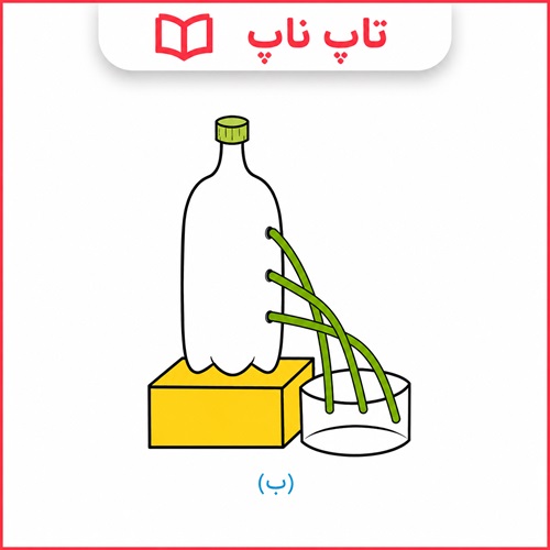 جواب آزمایش کنید صفحه ۸۷ و ۸۸ فصل ۸ علوم نهم
