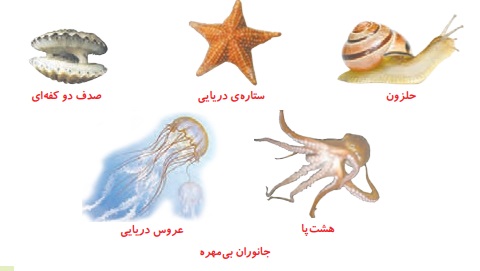 جواب جمع آوری اطلاعات صفحه ۱۰۲ علوم چهارم
