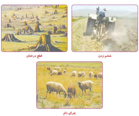 جواب جمع آوری اطلاعات صفحه ۸۸ علوم پنجم 