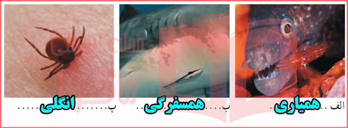 جواب خود را بیازمایید صفحه ۱۶۷ فصل ۱۵ علوم نهم
