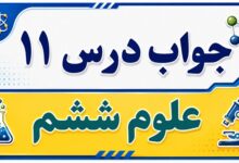 جواب درس ۱۱ علوم ششم - شگفتی های برگ