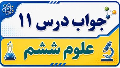 جواب درس ۱۱ علوم ششم - شگفتی های برگ