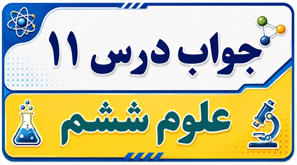 جواب درس ۱۱ علوم ششم - شگفتی های برگ