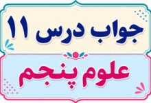 جواب درس ۱۱ علوم پنجم - بکارید و بخورید