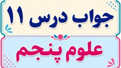 جواب درس ۱۱ علوم پنجم - بکارید و بخورید
