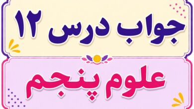 جواب درس ۱۲ علوم پنجم - از ریشه تا برگ