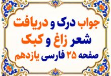 جواب درک و دریافت شعر زاغ و کبک صفحه ۲۵ فارسی یازدهم