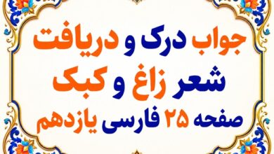 جواب درک و دریافت شعر زاغ و کبک صفحه ۲۵ فارسی یازدهم
