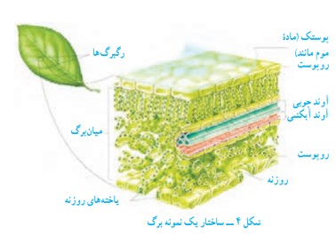 جواب سوال متن پایین صفحه ۱۳۴ فصل ۱۲ علوم نهم
