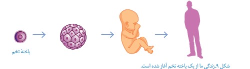 جواب سوال های متن صفحه ۶۳ فصل ۷ علوم هشتم
