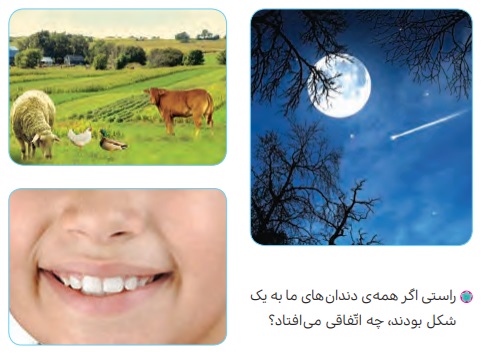 جواب سوالات ببین و بگو صفحه ۱۲ درس اول هدیه های آسمان چهارم ابتدایی 