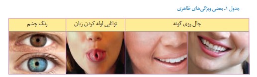 جواب سوالات صفحه ۵۶ علوم هشتم