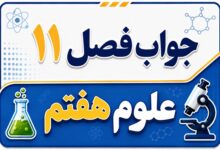 جواب فصل ۱۱ و درس یازدهم علوم هفتم - یاخته و سازمان بندی آن