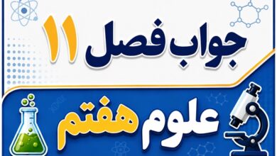 جواب فصل ۱۱ و درس یازدهم علوم هفتم - یاخته و سازمان بندی آن